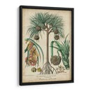 Palma Exotica I - Vision Studio | Cuadro decorativo de Canvas Lab