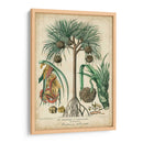 Palma Exotica I - Vision Studio | Cuadro decorativo de Canvas Lab