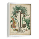 Palma Exotica I - Vision Studio | Cuadro decorativo de Canvas Lab