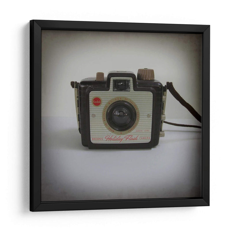 Colección De La Cámara Ii - Chariklia Zarris | Cuadro decorativo de Canvas Lab