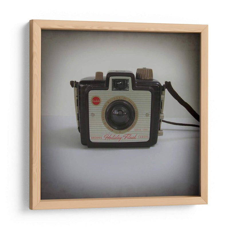 Colección De La Cámara Ii - Chariklia Zarris | Cuadro decorativo de Canvas Lab