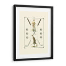Golfistas - H. Hutchinson Y John Ball - Spy | Cuadro decorativo de Canvas Lab