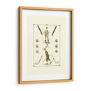 Golfistas - H. Hutchinson Y John Ball - Spy | Cuadro decorativo de Canvas Lab