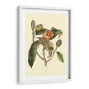 Follaje Floreciente I - Vision Studio | Cuadro decorativo de Canvas Lab