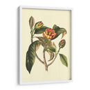 Follaje Floreciente I - Vision Studio | Cuadro decorativo de Canvas Lab