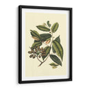 Follaje Floreciente Iii - Vision Studio | Cuadro decorativo de Canvas Lab