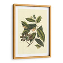 Follaje Floreciente Iii - Vision Studio | Cuadro decorativo de Canvas Lab