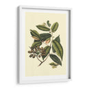 Follaje Floreciente Iii - Vision Studio | Cuadro decorativo de Canvas Lab