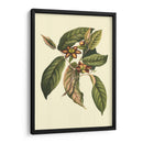 Follaje Floreciente Iv - Vision Studio | Cuadro decorativo de Canvas Lab