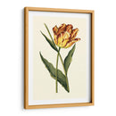 Tulipanes Vintage I - Vision Studio | Cuadro decorativo de Canvas Lab