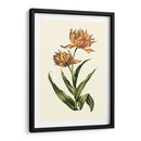 Tulipanes Vintage Iii - Vision Studio | Cuadro decorativo de Canvas Lab