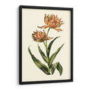 Tulipanes Vintage Iii - Vision Studio | Cuadro decorativo de Canvas Lab