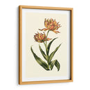 Tulipanes Vintage Iii - Vision Studio | Cuadro decorativo de Canvas Lab