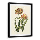 Tulipanes Vintage Iv - Vision Studio | Cuadro decorativo de Canvas Lab