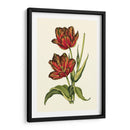 Tulipanes Vintage V - Vision Studio | Cuadro decorativo de Canvas Lab