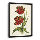 Tulipanes Vintage V - Vision Studio | Cuadro decorativo de Canvas Lab
