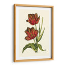 Tulipanes Vintage V - Vision Studio | Cuadro decorativo de Canvas Lab