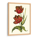 Tulipanes Vintage V - Vision Studio | Cuadro decorativo de Canvas Lab