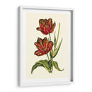 Tulipanes Vintage V - Vision Studio | Cuadro decorativo de Canvas Lab
