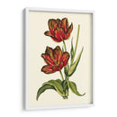 Tulipanes Vintage V - Vision Studio | Cuadro decorativo de Canvas Lab