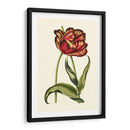 Tulipanes Vintage Vi - Vision Studio | Cuadro decorativo de Canvas Lab