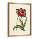 Tulipanes Vintage Vi - Vision Studio | Cuadro decorativo de Canvas Lab