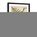 Fern Portafolio Iv - Francis G. Heath | Cuadro decorativo de Canvas Lab