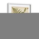 Fern Portafolio Iv - Francis G. Heath | Cuadro decorativo de Canvas Lab