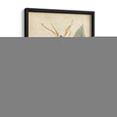 Delicia Tropical Ii - Edmonston-Douglas | Cuadro decorativo de Canvas Lab