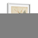 Delicia Tropical Ii - Edmonston-Douglas | Cuadro decorativo de Canvas Lab