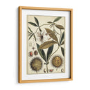 Estudio Botánico Ivory Ii - Vision Studio | Cuadro decorativo de Canvas Lab