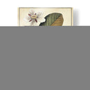 Estudio Botánico Ivory Iii - Vision Studio | Cuadro decorativo de Canvas Lab