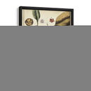 Estudio De Marfil Botánico V - Vision Studio | Cuadro decorativo de Canvas Lab