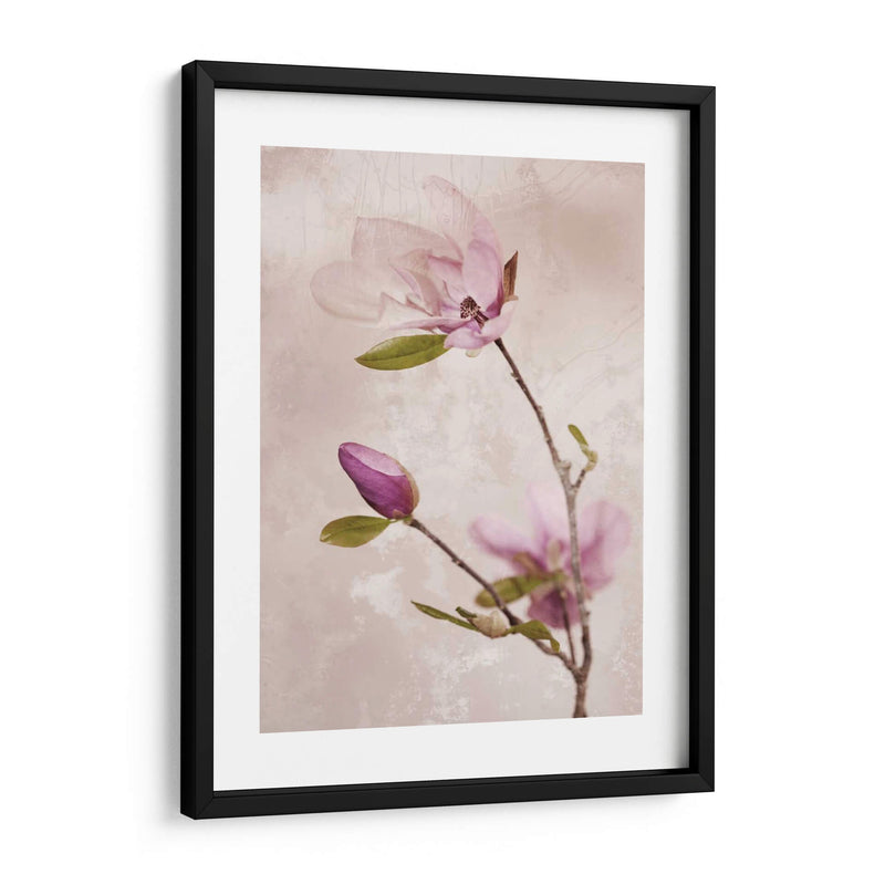 Tulip Blush I - Christine Zalewski | Cuadro decorativo de Canvas Lab