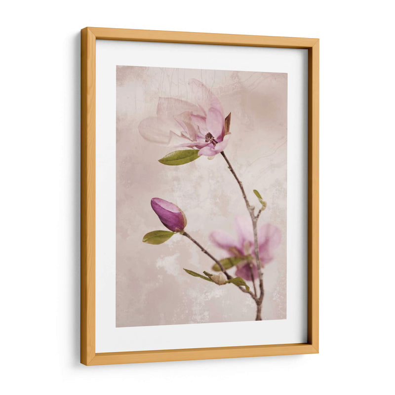 Tulip Blush I - Christine Zalewski | Cuadro decorativo de Canvas Lab