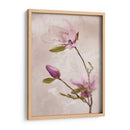 Tulip Blush I - Christine Zalewski | Cuadro decorativo de Canvas Lab