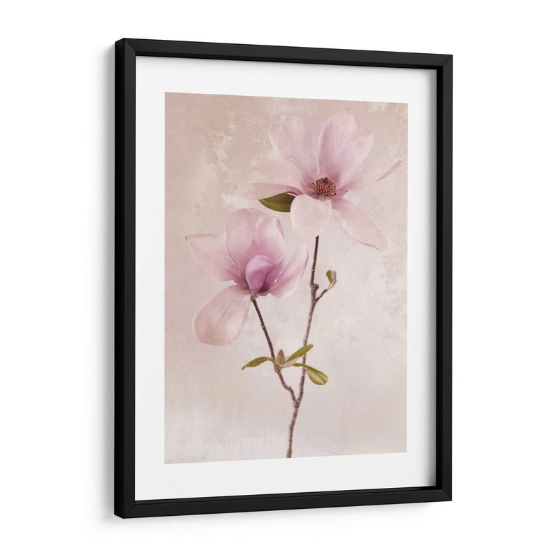 Tulip Blush Ii - Christine Zalewski | Cuadro decorativo de Canvas Lab