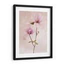 Tulip Blush Ii - Christine Zalewski | Cuadro decorativo de Canvas Lab