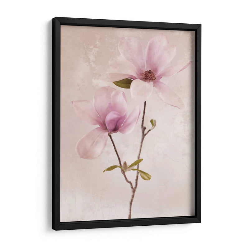 Tulip Blush Ii - Christine Zalewski | Cuadro decorativo de Canvas Lab