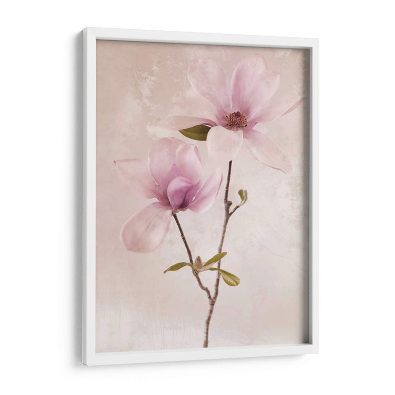 Tulip Blush Ii - Christine Zalewski | Cuadro decorativo de Canvas Lab