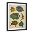 Pescados Espinosos Goldsmiths - Goldsmith | Cuadro decorativo de Canvas Lab