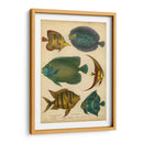 Pescados Espinosos Goldsmiths - Goldsmith | Cuadro decorativo de Canvas Lab