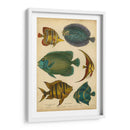 Pescados Espinosos Goldsmiths - Goldsmith | Cuadro decorativo de Canvas Lab