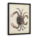 Cangrejo Vintage I - DeKay | Cuadro decorativo de Canvas Lab