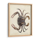Cangrejo Vintage I - DeKay | Cuadro decorativo de Canvas Lab