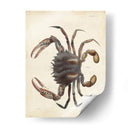 Cangrejo Vintage I - DeKay | Cuadro decorativo de Canvas Lab