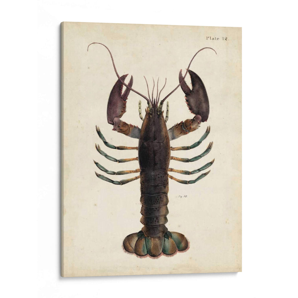 Langosta Vintage - DeKay | Cuadro decorativo de Canvas Lab