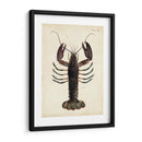 Langosta Vintage - DeKay | Cuadro decorativo de Canvas Lab