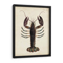 Langosta Vintage - DeKay | Cuadro decorativo de Canvas Lab