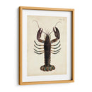 Langosta Vintage - DeKay | Cuadro decorativo de Canvas Lab